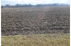 Property photo 12 - East Allen County Land Auction - 40 Acres in 2 Tracts